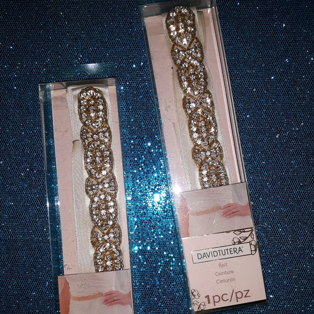 David Tutera Bridal belt in IVORY (I have two)